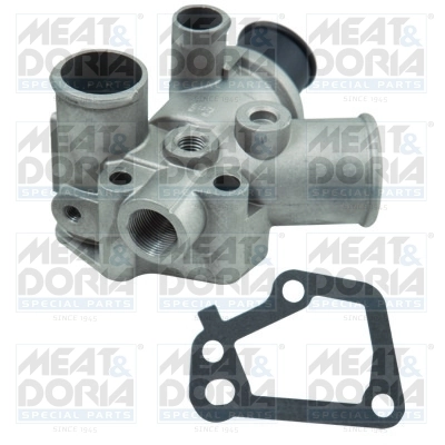 Thermostat, coolant